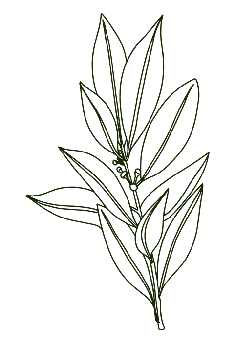 tGbms4_2_.png
